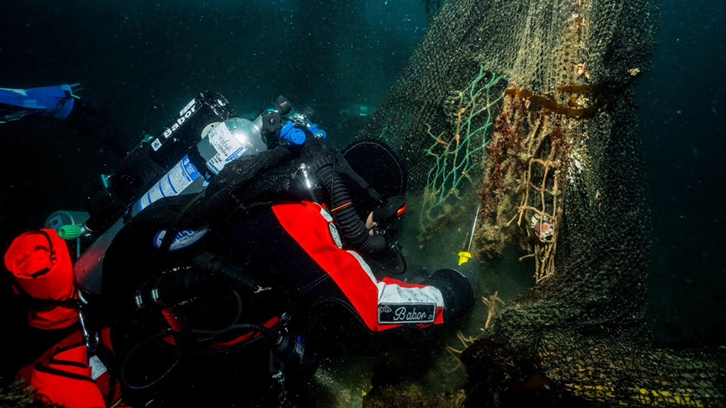 NotasJulio_HealthySeas_1024x576_2.jpg