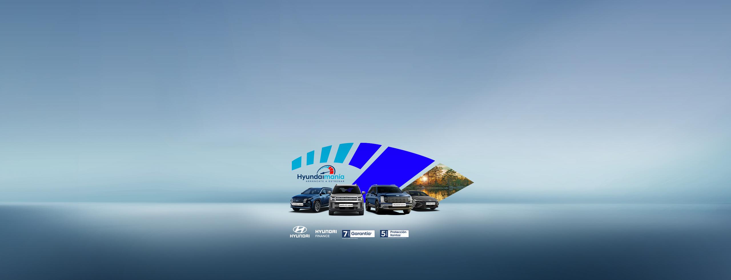 Line Up Hyundaimania